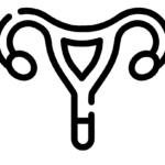 Image of a uterus and ovaries symbolizing Dr. Dillinger's expert services helping women with premenstrual dysphoric disorder, perimenopausal and menopausal mental health, and peripartum depression and anxiety