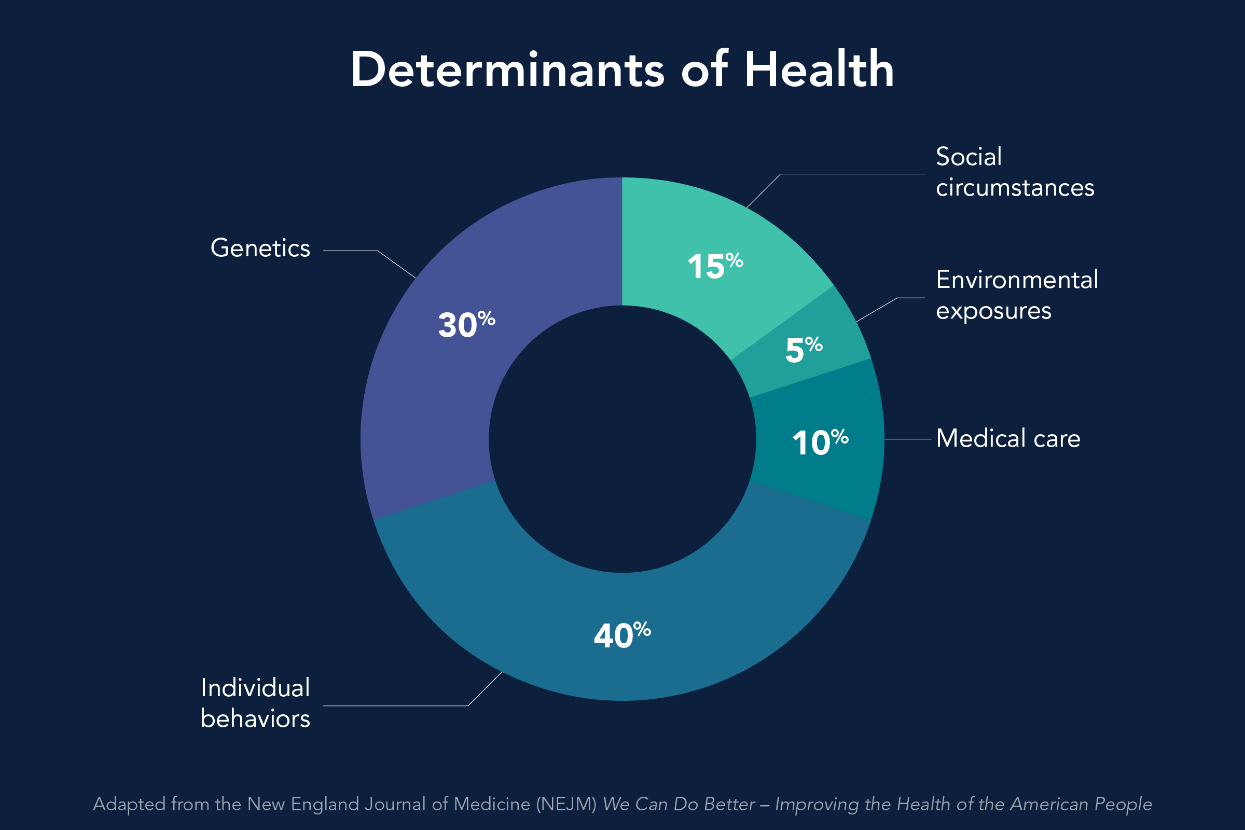 image of a doughnut chart of the social determinants of health, showing how integrative psychiatry with Dr. Dillinger at Extraordinary Minds Psychiatry addresses many aspects of life and wellness to help patients get relief